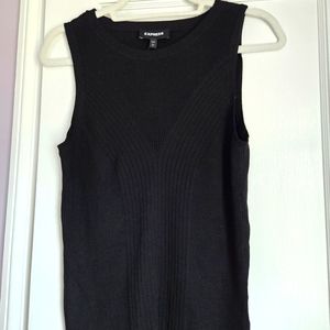 Express Sleeveless Sweater